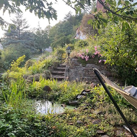 Ferienwohnung Kellerwald Waldeck  Esterno foto