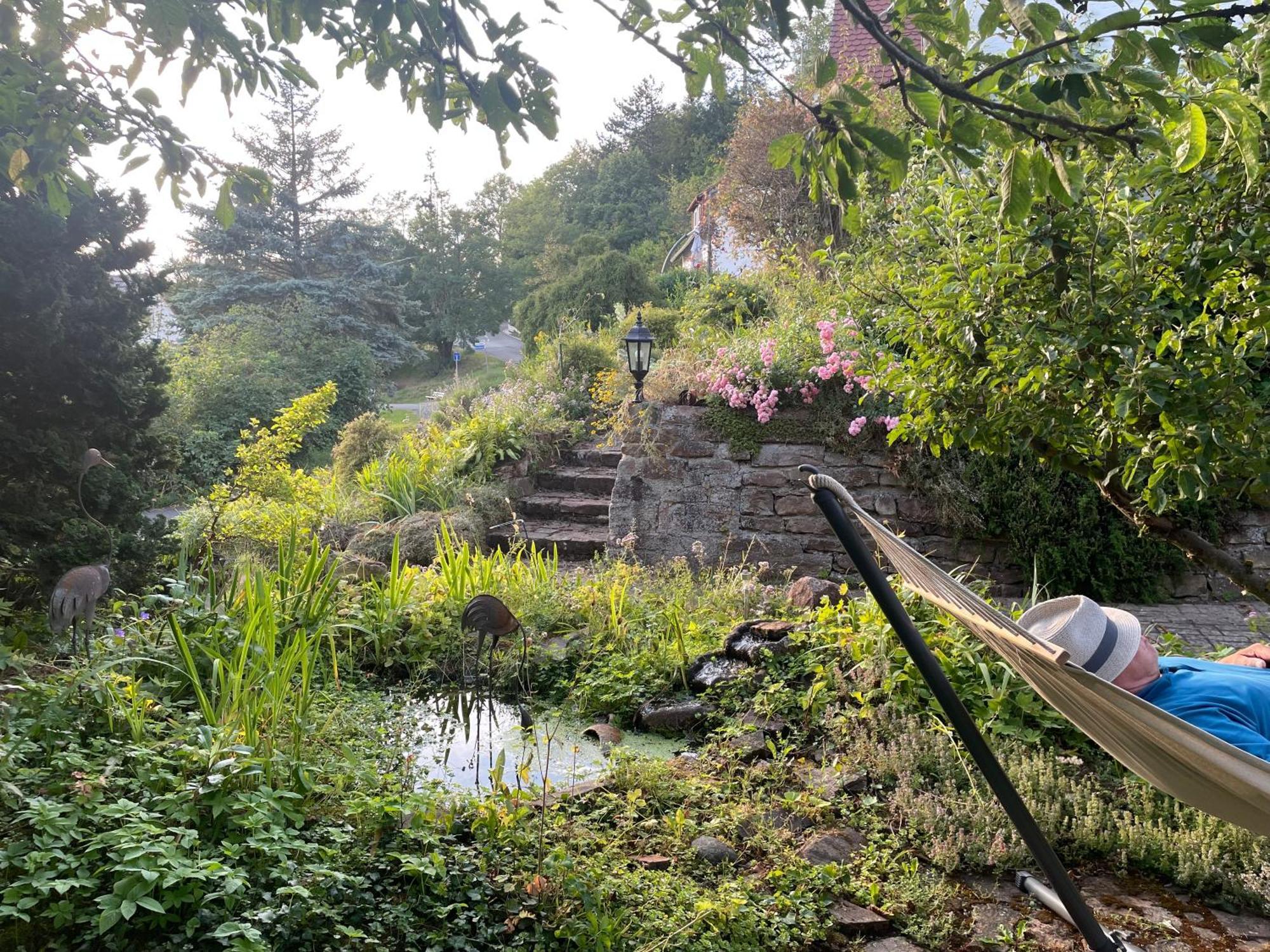 Ferienwohnung Kellerwald Waldeck  Esterno foto